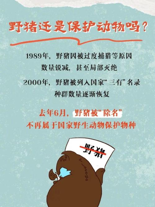 猪圈跑猪了怎么办？这几个应急处理方法要知道！