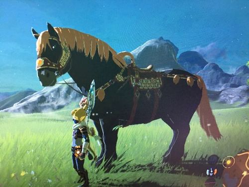 游戏马有什么用?这几个方面不得不看!