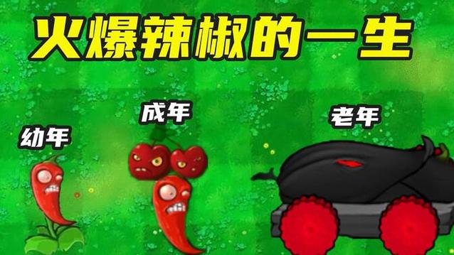 火爆辣椒僵尸厉害吗?教你几招快速消灭它的方法!