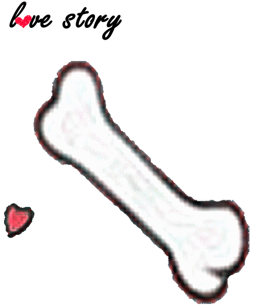 炫舞戒指自定义透明设置教程，简单几步让你的戒指隐形！