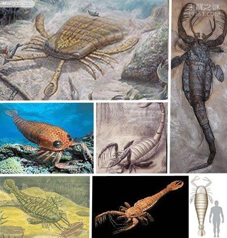 灵翼龙有多厉害？这种远古生物的战力分析！