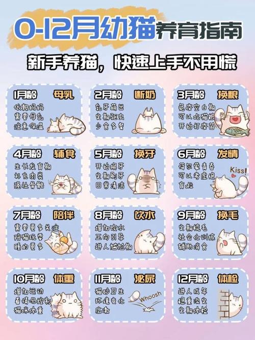 怎么快速上手一年前的约定攻略？新手必看指南！