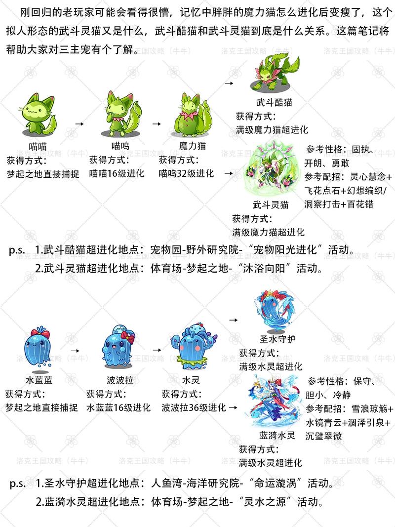 洛克王国t恤超人现在还能抓吗？稀有宠物入手指南！