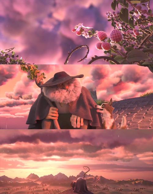 求分享雨后的故事图片，这些场景也太治愈了！