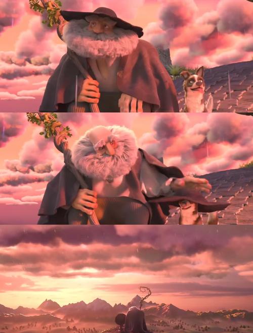 求分享雨后的故事图片，这些场景也太治愈了！