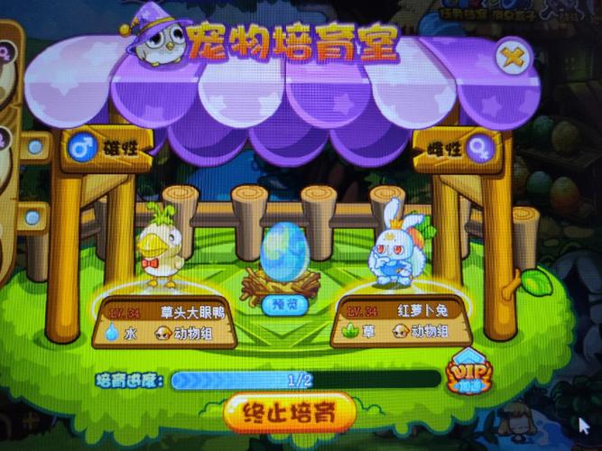 洛克王国刷蛋器怎么用？新手一看就会的操作！