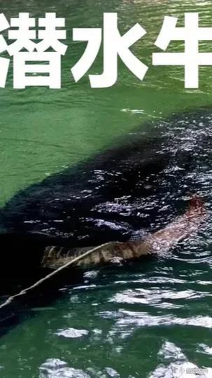 波推飞机到底指什么？这篇文章给你讲清楚！