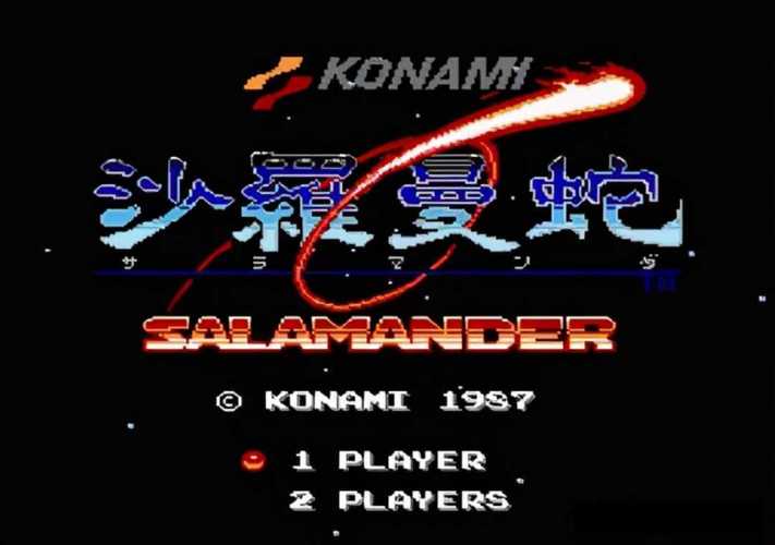 沙罗曼蛇nes游戏攻略：新手必看通关秘籍！