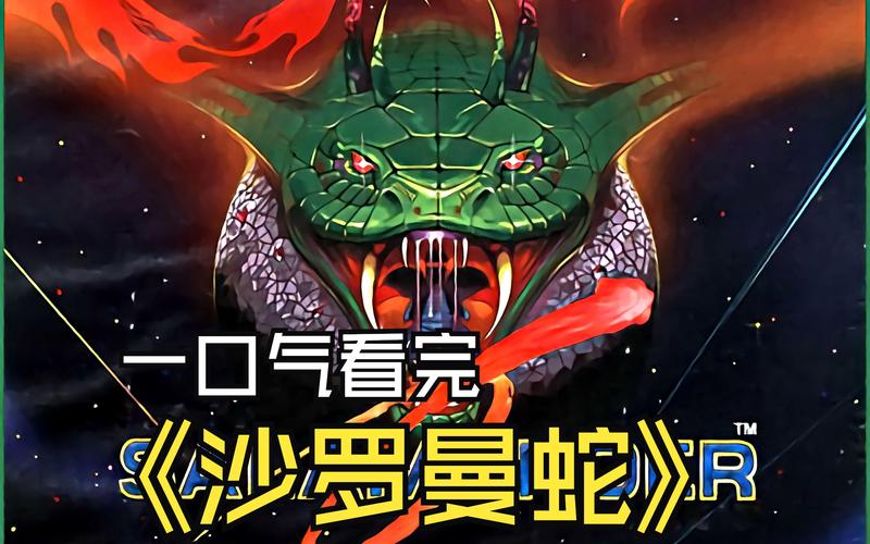 沙罗曼蛇nes游戏攻略：新手必看通关秘籍！