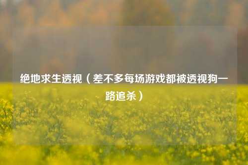 绝地求生透视（差不多每场游戏都被透视狗一路追杀）