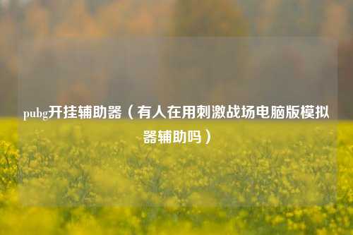 pubg开挂辅助器（有人在用刺激战场电脑版模拟器辅助吗）