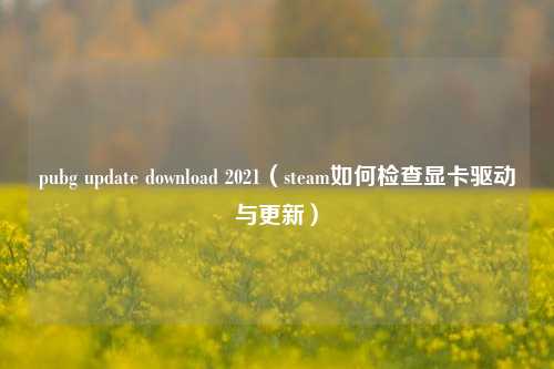 pubg update download 2021(steam如何检查显卡驱动与更新)