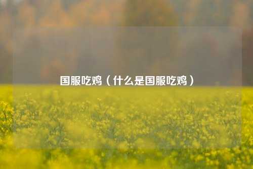 国服吃鸡(什么是国服吃鸡)