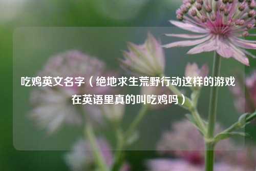 吃鸡英文名字(绝地求生荒野行动这样的游戏在英语里真的叫吃鸡吗)