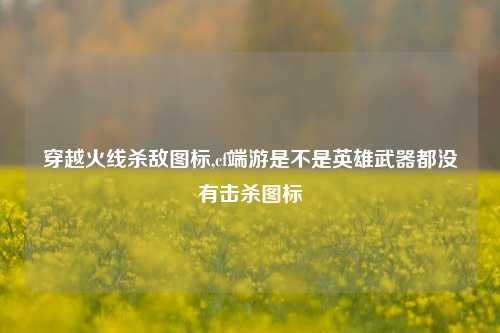 穿越火线杀敌图标,cf端游是不是英雄武器都没有击杀图标