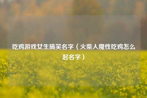 吃鸡游戏女生搞笑名字(火柴人魔性吃鸡怎么起名字)
