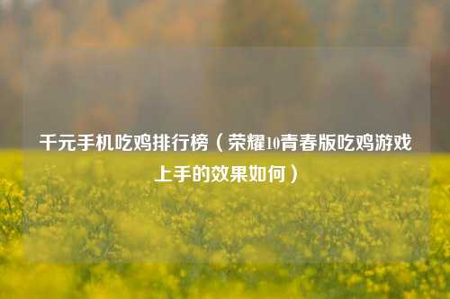 千元手机吃鸡排行榜(荣耀10青春版吃鸡游戏上手的效果如何)