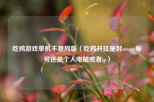 吃鸡游戏单机不要网版(吃鸡开挂是封steam帐号还是个人电脑或者ip)