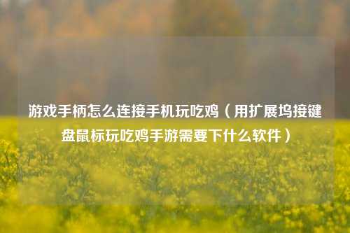 游戏手柄怎么连接手机玩吃鸡(用扩展坞接键盘鼠标玩吃鸡手游需要下什么软件)