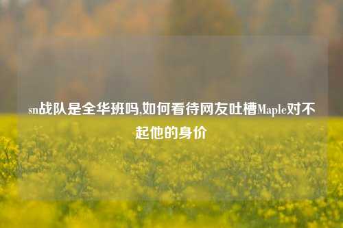 sn战队是全华班吗,如何看待网友吐槽Maple对不起他的身价