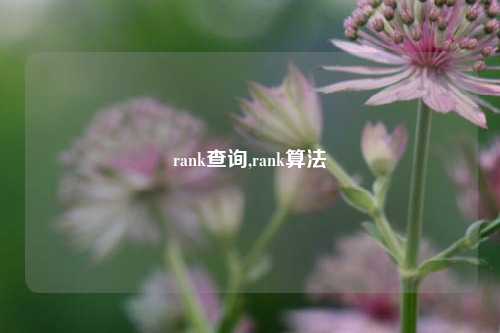 rank查询,rank算法