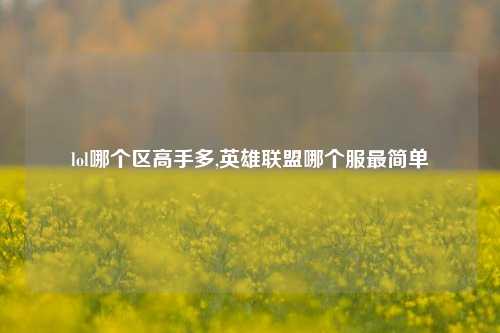 lol哪个区高手多,英雄联盟哪个服最简单