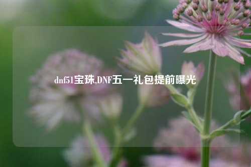 dnf51宝珠,DNF五一礼包提前曝光