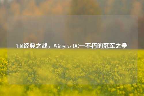 TI6经典之战，Wings vs DC—不朽的冠军之争