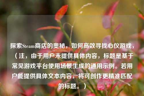 探索Steam商店的奥秘，如何高效寻找心仪游戏，（注，由于用户未提供具体内容，标题是基于常见游戏平台使用场景生成的通用示例。若用户能提供具体文本内容，将可创作更精准匹配的标题。）