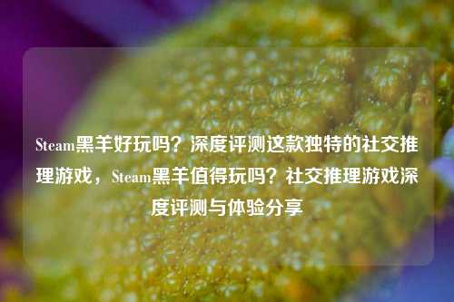 Steam黑羊好玩吗？深度评测这款独特的社交推理游戏，Steam黑羊值得玩吗？社交推理游戏深度评测与体验分享