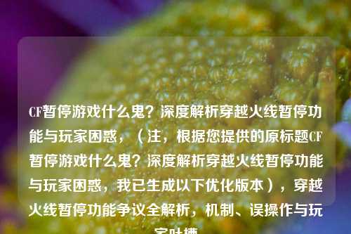 CF暂停游戏什么鬼?深度解析穿越火线暂停功能与玩家困惑,(注,根据您提供的原标题CF暂停游戏什么鬼?深度解析穿越火线暂停功能与玩家困惑,我已生成以下优化版本),穿越火线暂停功能争议全解析,机制、误操作与玩家吐槽