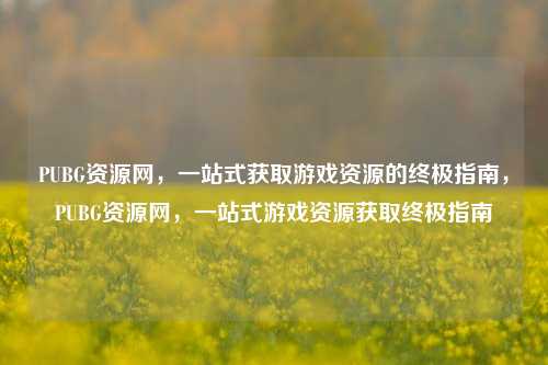 PUBG资源网，一站式获取游戏资源的终极指南，PUBG资源网，一站式游戏资源获取终极指南