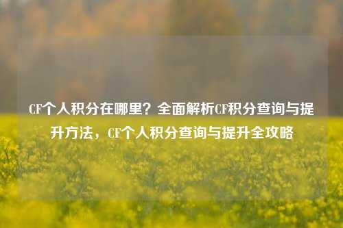 CF个人积分在哪里？全面解析CF积分查询与提升方法，CF个人积分查询与提升全攻略