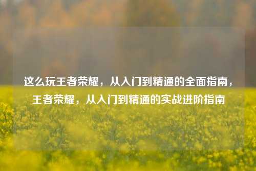这么玩王者荣耀，从入门到精通的全面指南，王者荣耀，从入门到精通的实战进阶指南