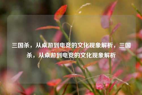 三国杀，从桌游到电竞的文化现象解析，三国杀，从桌游到电竞的文化现象解析