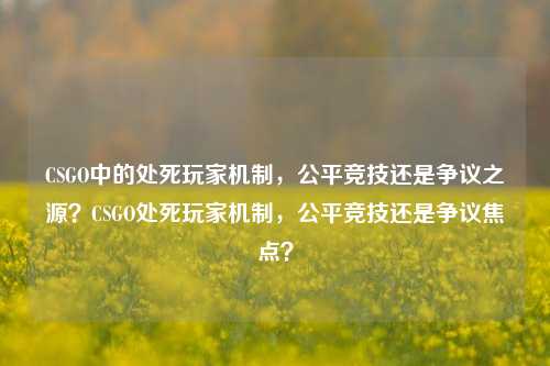 CSGO中的处死玩家机制，公平竞技还是争议之源？CSGO处死玩家机制，公平竞技还是争议焦点？