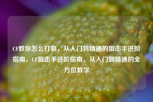 CF教你怎么打狙,从入门到精通的狙击手进阶指南,CF狙击手进阶指南,从入门到精通的全方位教学