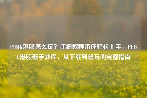PUBG港服怎么玩？详细教程带你轻松上手，PUBG港服新手教程，从下载到畅玩的完整指南