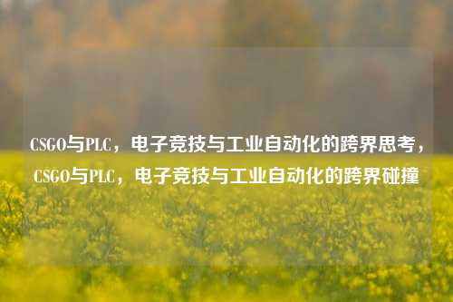 CSGO与PLC，电子竞技与工业自动化的跨界思考，CSGO与PLC，电子竞技与工业自动化的跨界碰撞