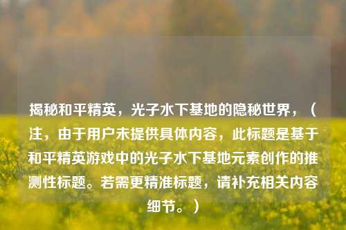 揭秘和平精英，光子水下基地的隐秘世界，（注，由于用户未提供具体内容，此标题是基于和平精英游戏中的光子水下基地元素创作的推测性标题。若需更精准标题，请补充相关内容细节。）