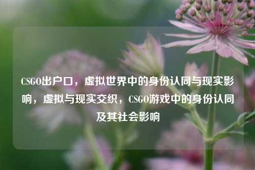 CSGO出户口，虚拟世界中的身份认同与现实影响，虚拟与现实交织，CSGO游戏中的身份认同及其社会影响