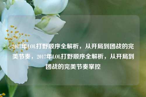2017年LOL打野顺序全解析，从开局到团战的完美节奏，2017年LOL打野顺序全解析，从开局到团战的完美节奏掌控