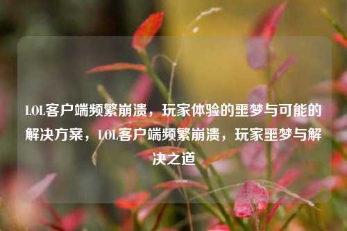 LOL客户端频繁崩溃，玩家体验的噩梦与可能的解决方案，LOL客户端频繁崩溃，玩家噩梦与解决之道