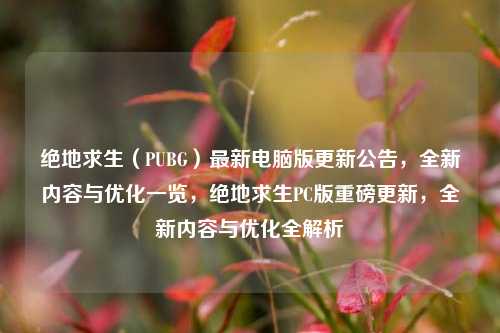 绝地求生（PUBG）最新电脑版更新公告，全新内容与优化一览，绝地求生PC版重磅更新，全新内容与优化全解析