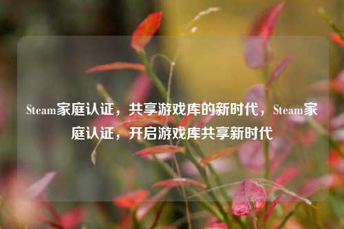 Steam家庭认证，共享游戏库的新时代，Steam家庭认证，开启游戏库共享新时代