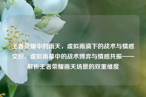 王者荣耀中的雨天，虚拟雨滴下的战术与情感交织，虚拟雨幕中的战术博弈与情感共振——解析王者荣耀雨天场景的双重维度