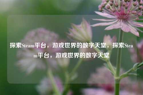 探索Steam平台,游戏世界的数字天堂,探索Steam平台,游戏世界的数字天堂