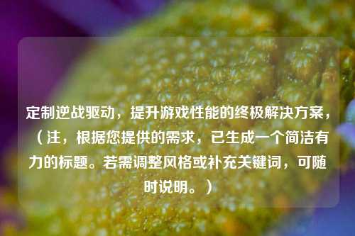 定制逆战驱动，提升游戏性能的终极解决方案，（注，根据您提供的需求，已生成一个简洁有力的标题。若需调整风格或补充关键词，可随时说明。）