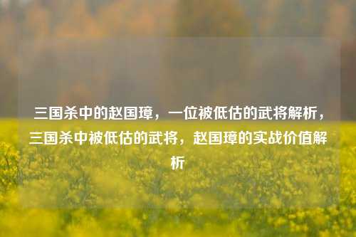 三国杀中的赵国璋,一位被低估的武将解析,三国杀中被低估的武将,赵国璋的实战价值解析