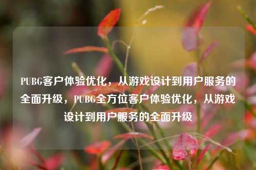 PUBG客户体验优化，从游戏设计到用户服务的全面升级，PUBG全方位客户体验优化，从游戏设计到用户服务的全面升级
